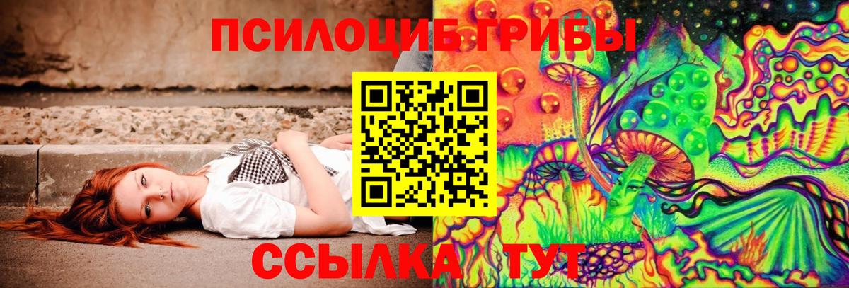 Псилоцибиновые грибы Psilocybe Заинск