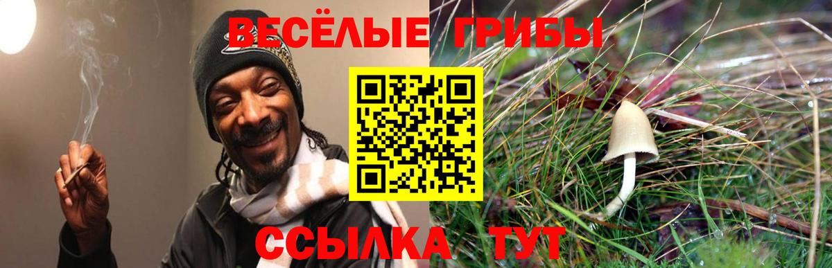 Псилоцибиновые грибы Cubensis  Вход с VPN  Заинск 